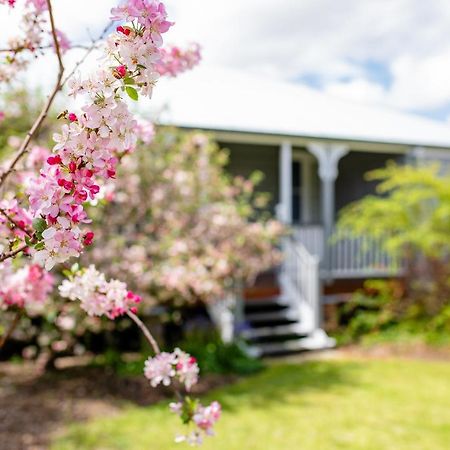 Apple Blossom Cottages Stanthorpe Ngoại thất bức ảnh