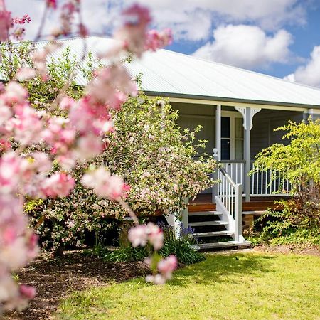 Apple Blossom Cottages Stanthorpe Ngoại thất bức ảnh