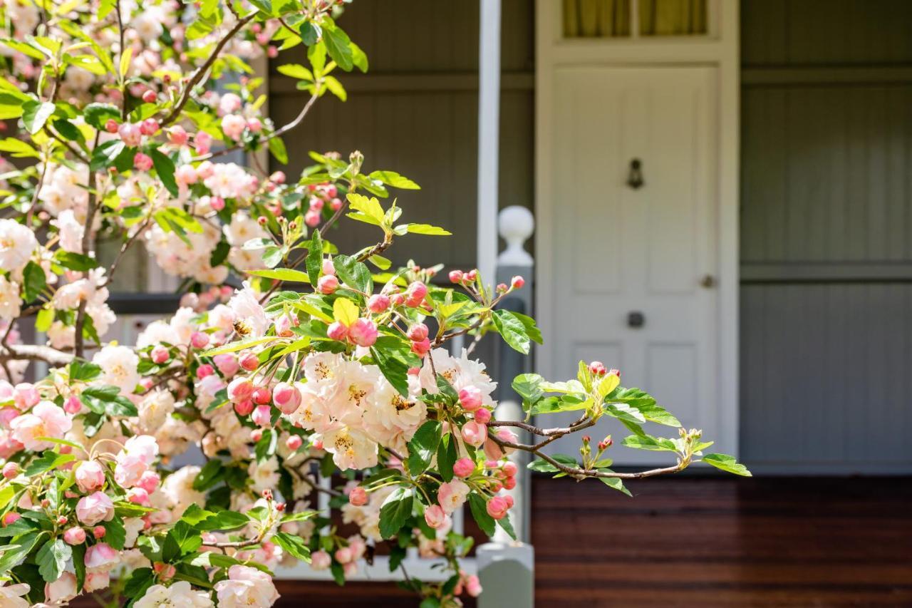 Apple Blossom Cottages Stanthorpe Ngoại thất bức ảnh