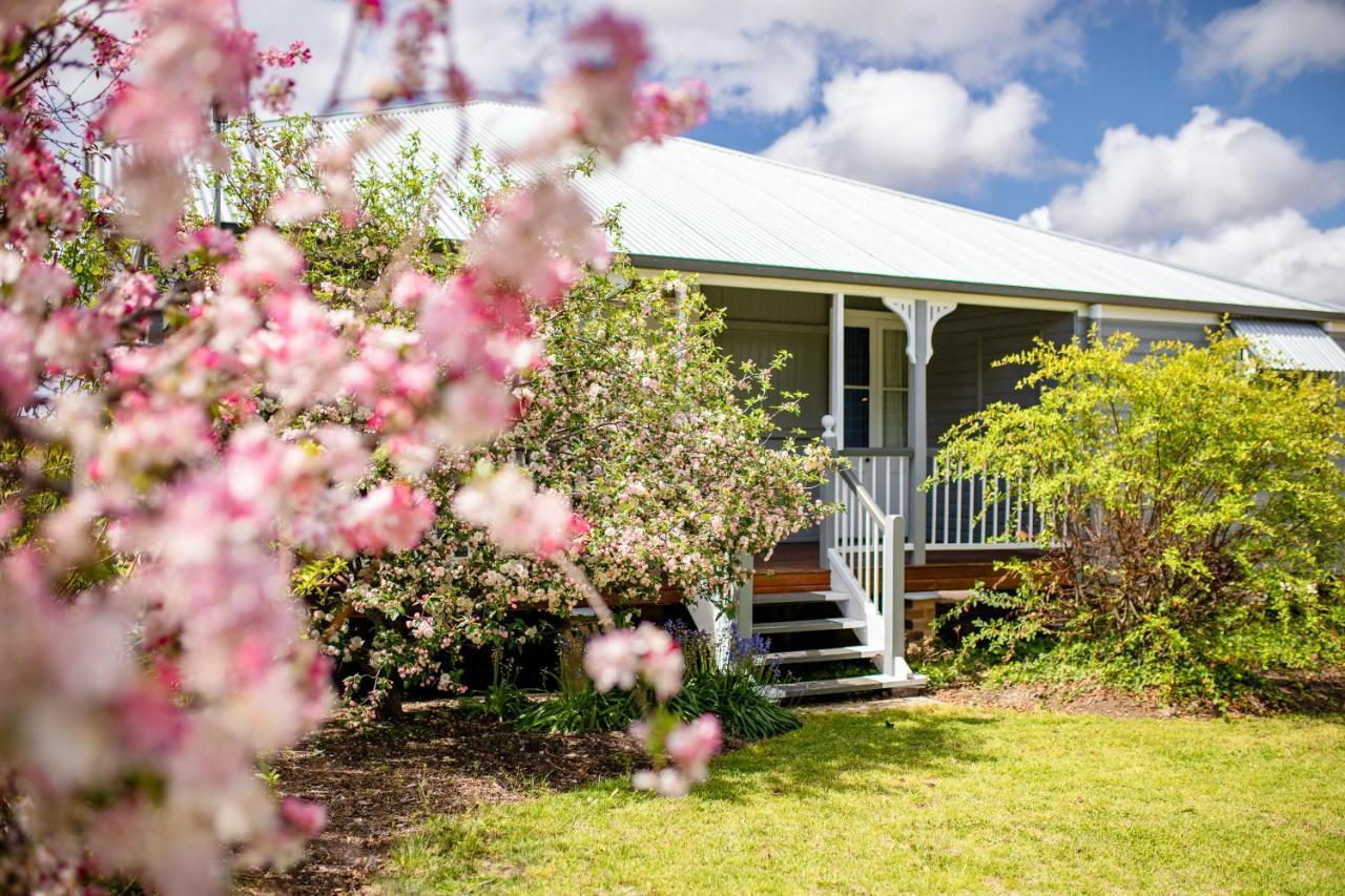 Apple Blossom Cottages Stanthorpe Ngoại thất bức ảnh