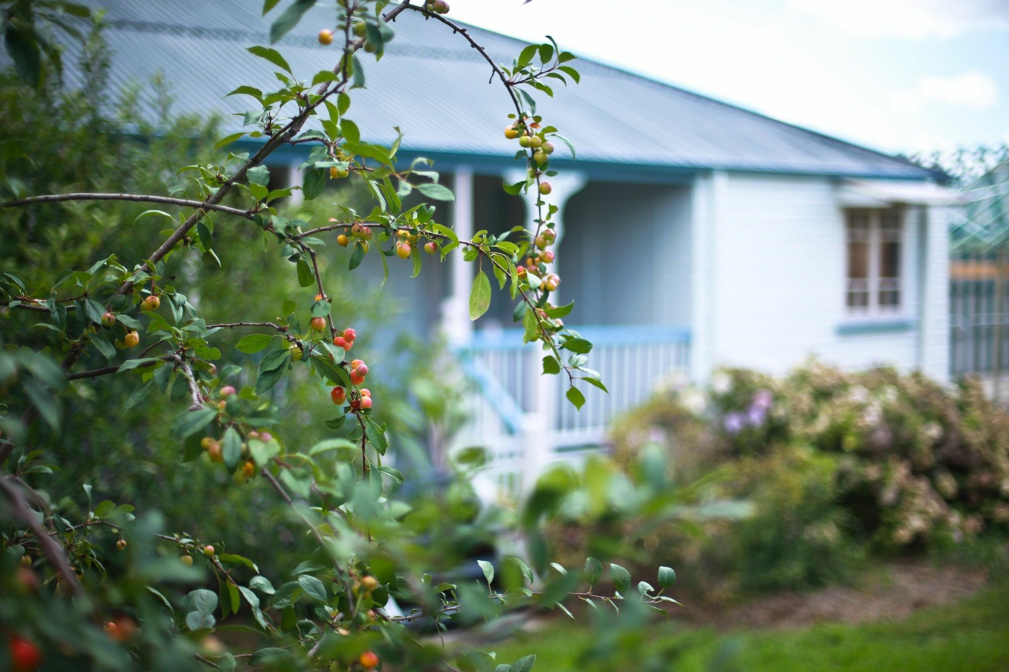 Apple Blossom Cottages Stanthorpe Ngoại thất bức ảnh